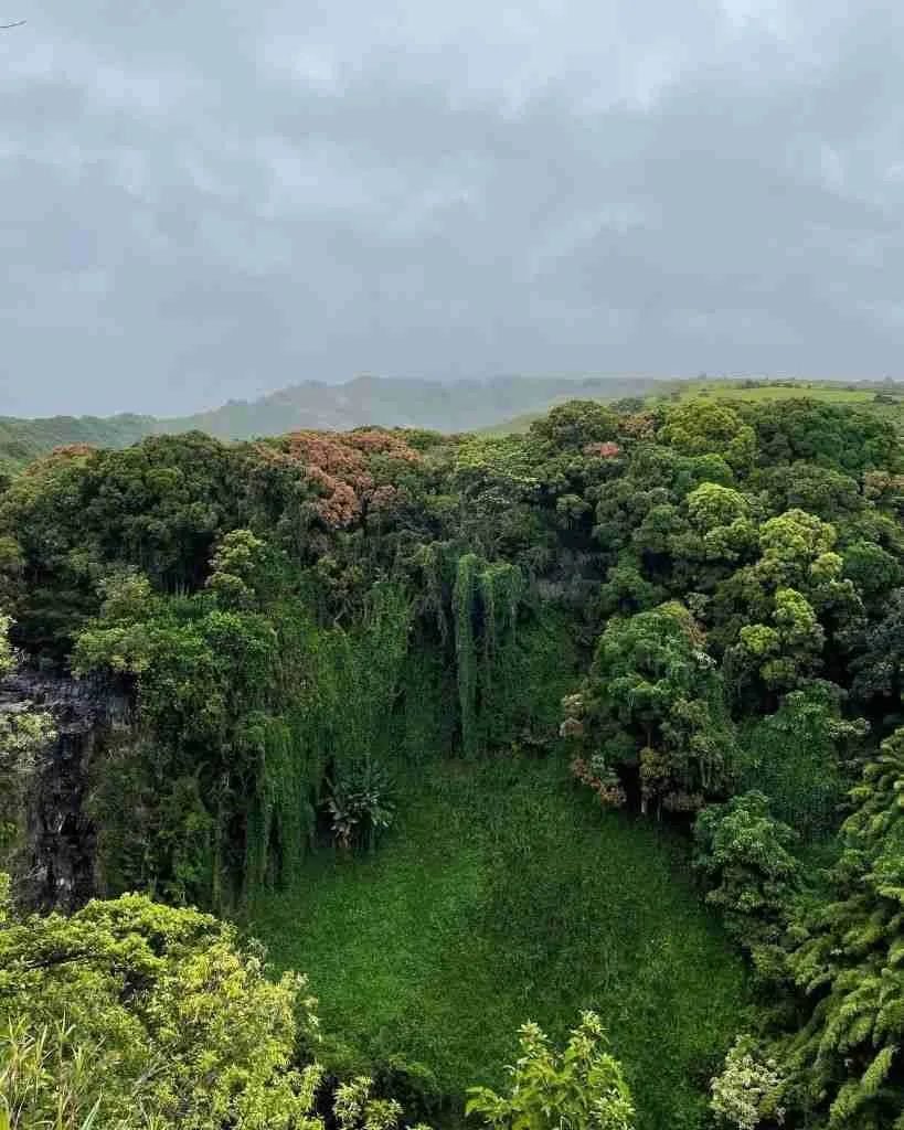 Pipiwai trail, Maui