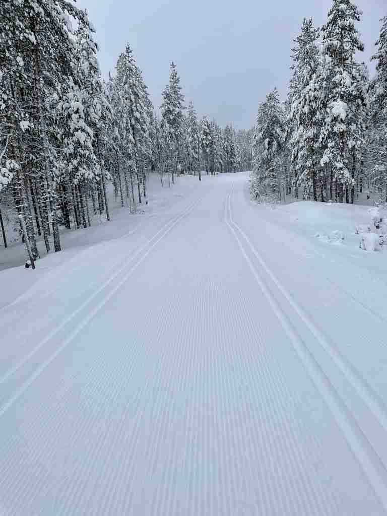 Itinerario in Lapponia Finlandese 10 Pyha Luosto Park
