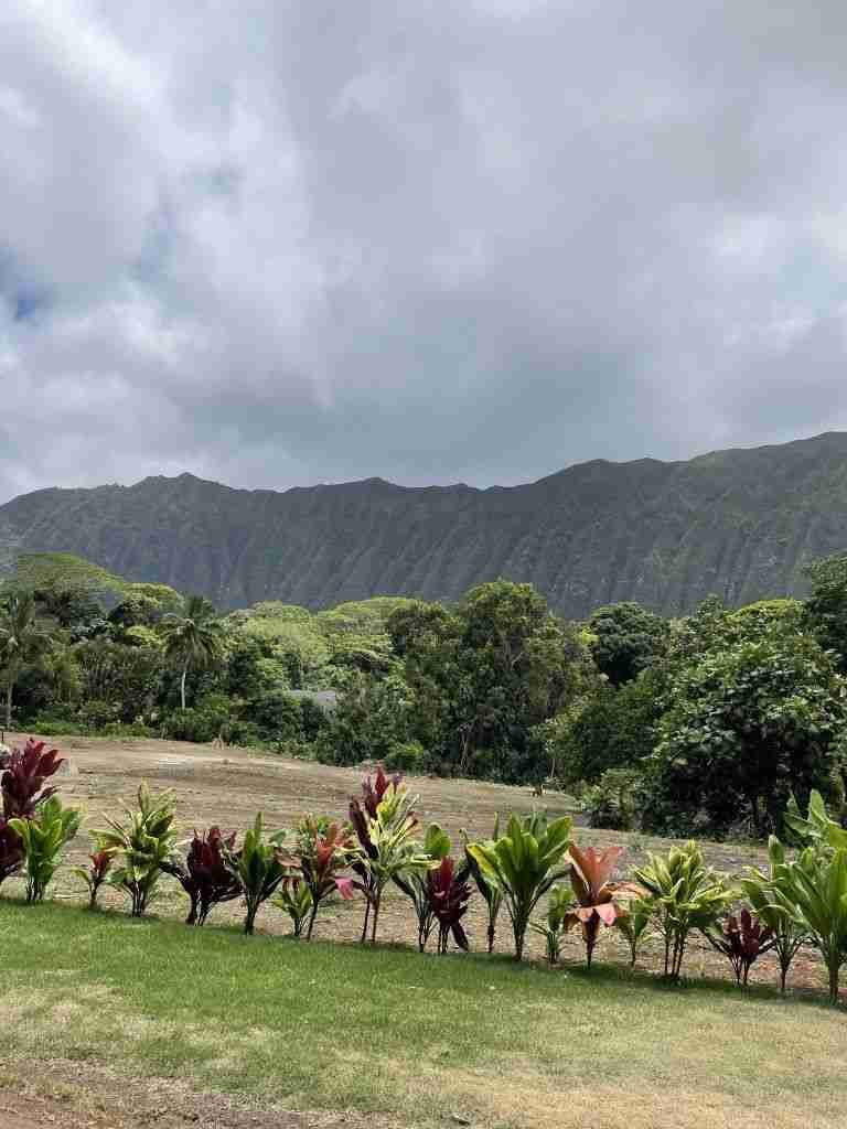 Quando andare alle Hawaii 8 quando andare alle hawaii