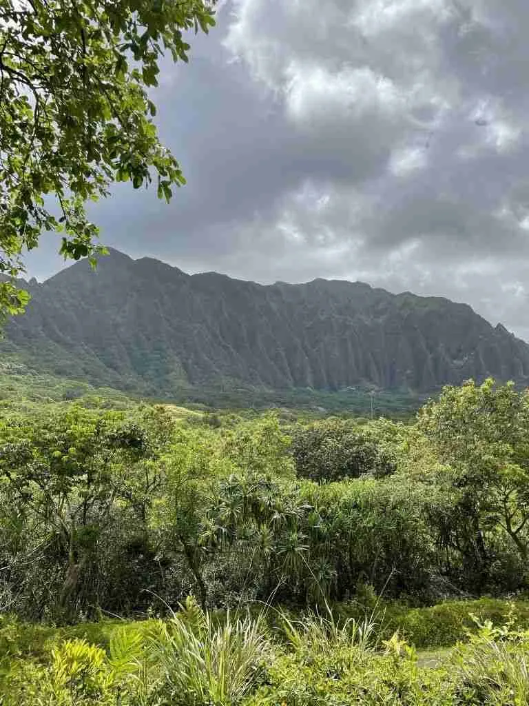 organizzare un viaggio alle Hawaii 
