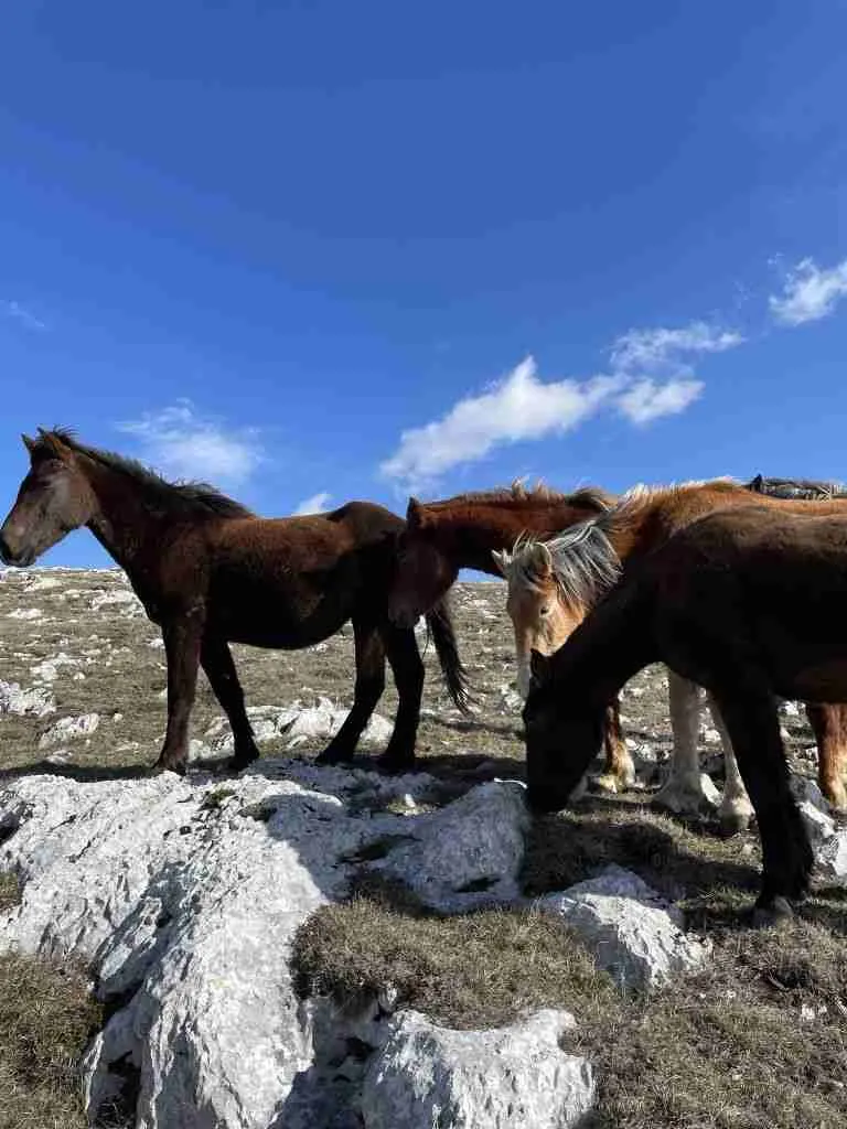 Cosa vedere in Bosnia