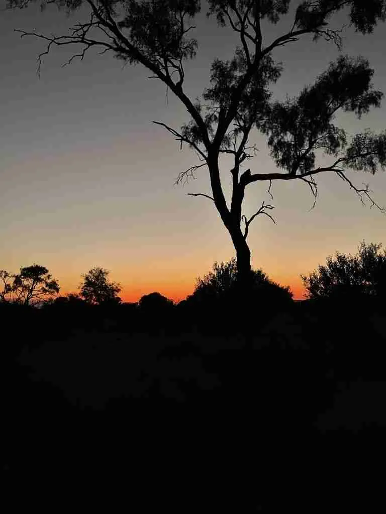 Viaggio nell'Outback, il deserto australiano 1 Viaggio nell'Outback