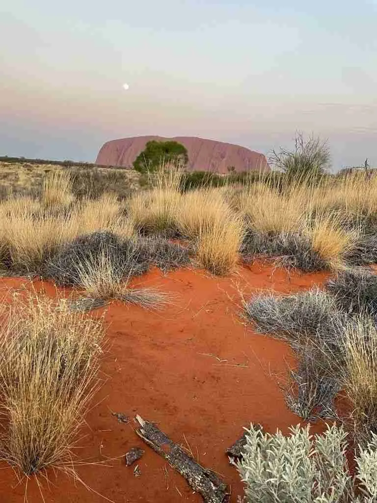 Viaggio nell'Outback, il deserto australiano 5 Uluru, Australia