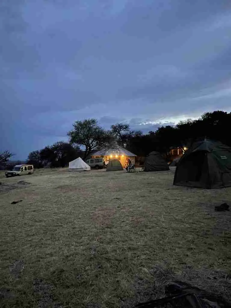 Come organizzare un Safari in Tanzania 4 safari in tanzania