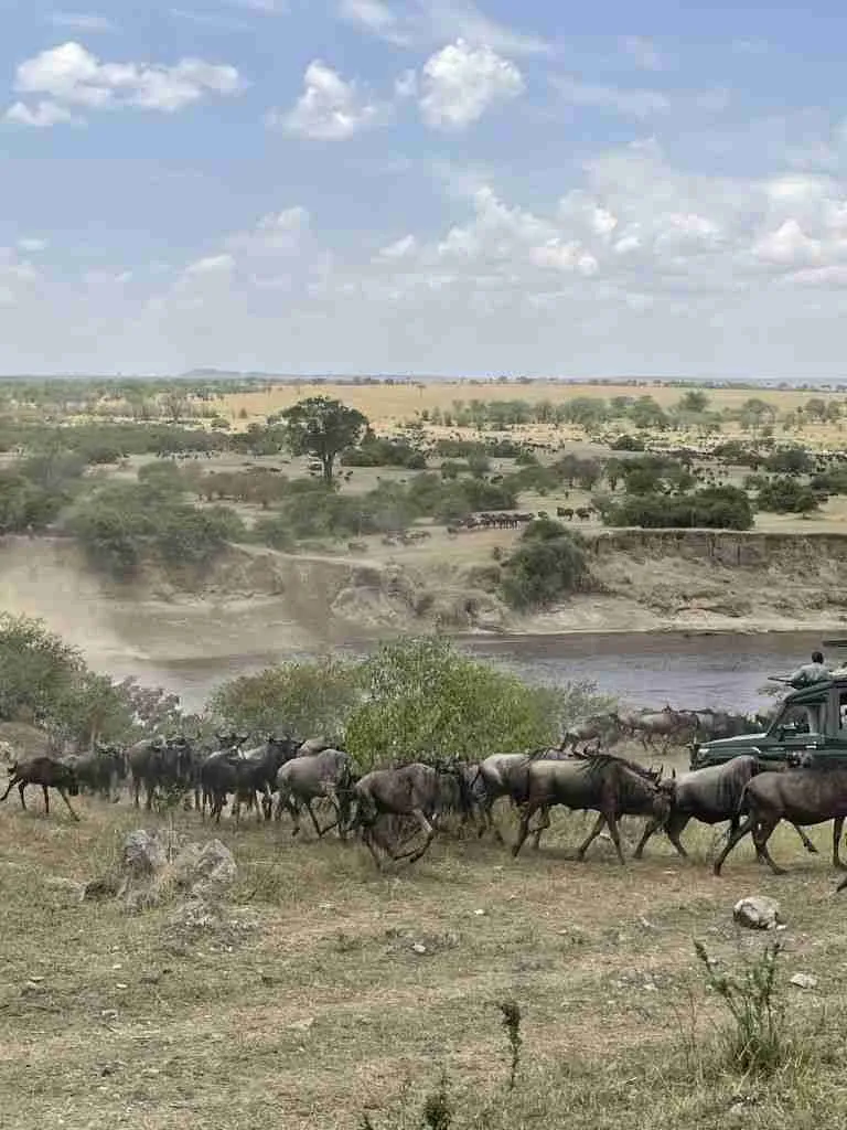 Come organizzare un Safari in Tanzania 6 viaggio in tanzania