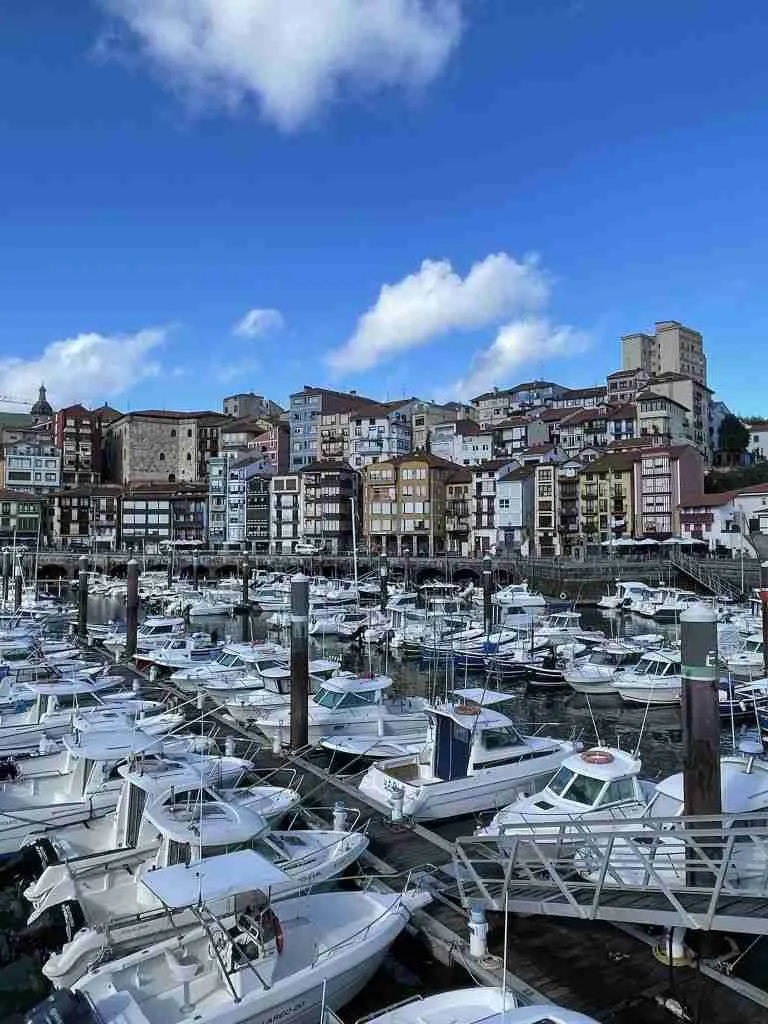 Cosa vedere a Bilbao & dintorni 10 bermeo