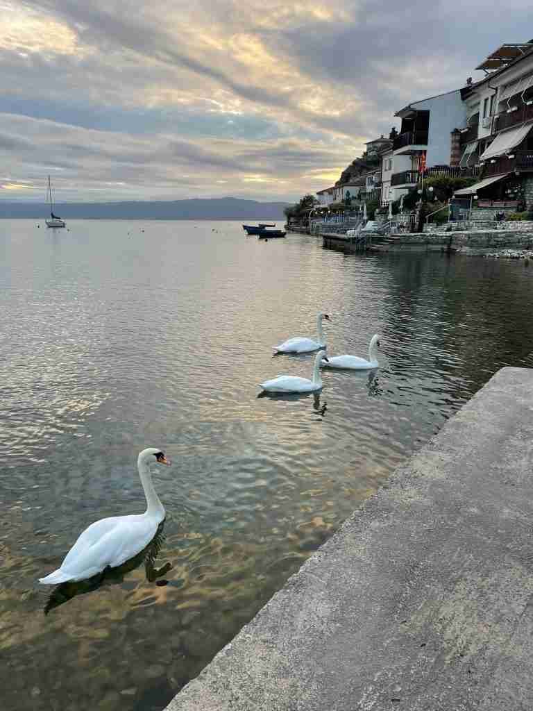 Che fare a Ohrid, la perla della Macedonia del Nord 8 Lago di Ohrid