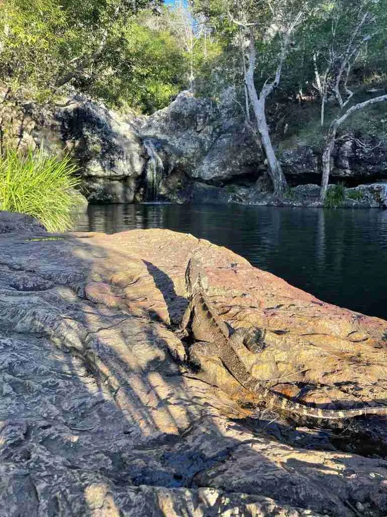 Itinerario di viaggio nel Queensland, parte uno 5 Itinerario di viaggio nel Queensland, parte uno