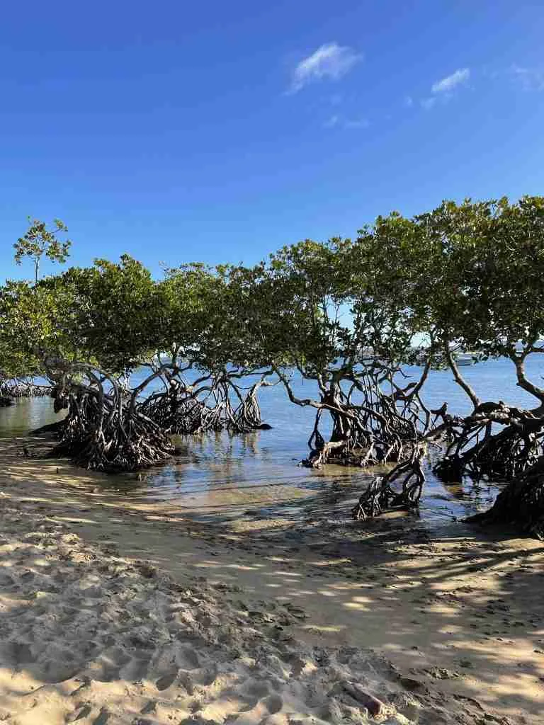 Itinerario di viaggio nel Queensland, parte uno 11 Itinerario di viaggio nel Queensland, parte uno