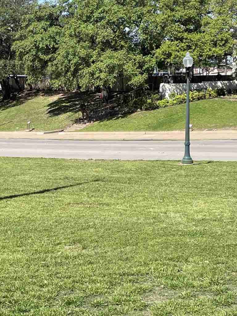 Chi ha ucciso Kennedy? 1 Chi ha ucciso Kennedy?