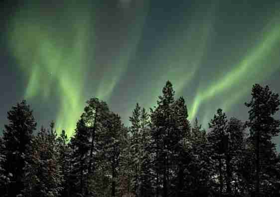 Come vedere l'Aurora Boreale in Lapponia