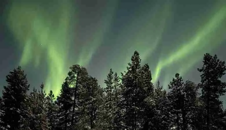 Come vedere l'Aurora Boreale in Lapponia