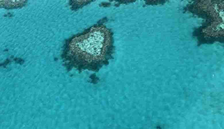 Viaggio in Australia low cost 6 Viaggio in Australia low cost