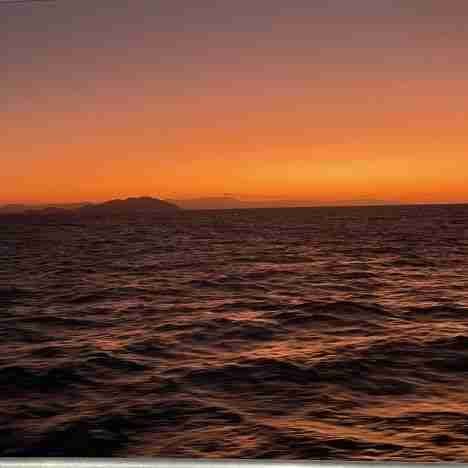 Cosa non perdere a Vienna in un weekend