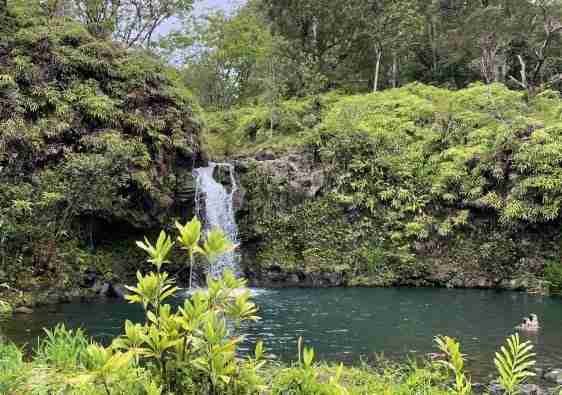 Come organizzare un viaggio alle Hawaii