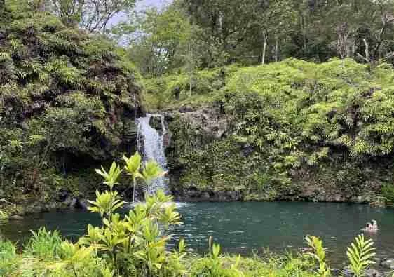 Come organizzare un viaggio alle Hawaii