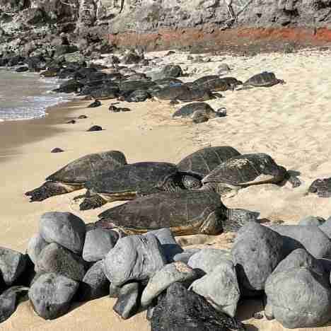 Cosa vedere a Bilbao & dintorni