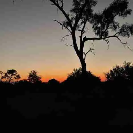 Viaggio nell’Outback, il deserto australiano