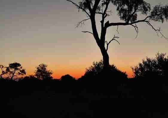 Viaggio nell'Outback