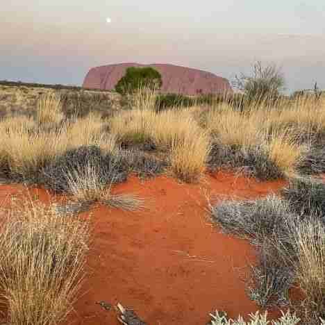 Itinerario di viaggio nel Queensland, parte due