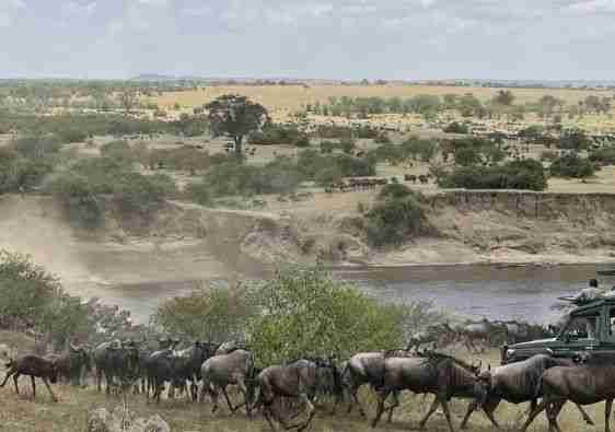 Grande Migrazione del Nord