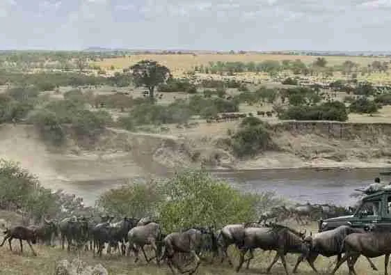 Grande Migrazione del Nord