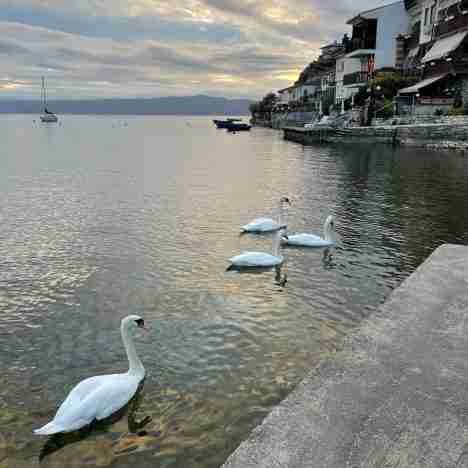Come noleggiare un’auto