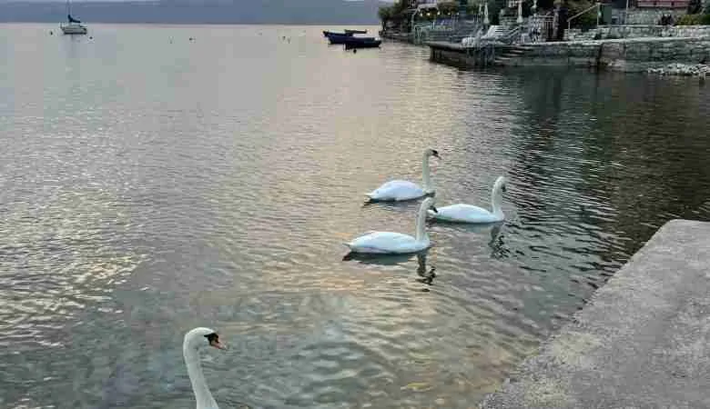 Lago di Ohrid