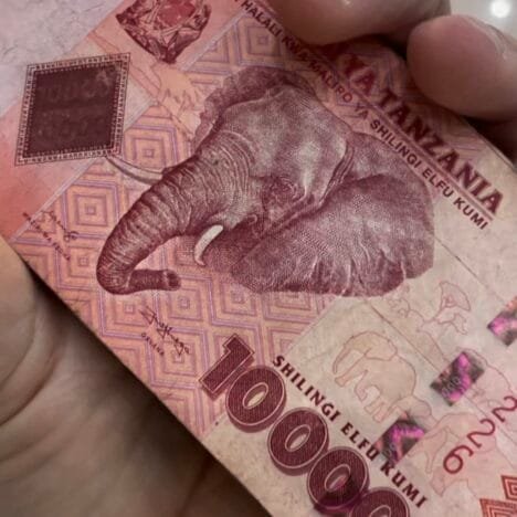 Itinerario in Islanda, parte due